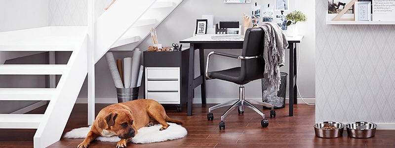 AJ_3_HomeofficeWohlbefinden_Titelbild