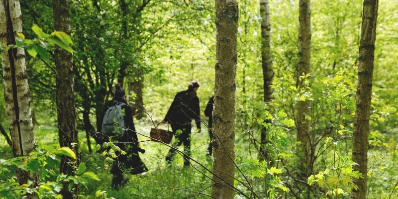Schweden 2 Bild 4