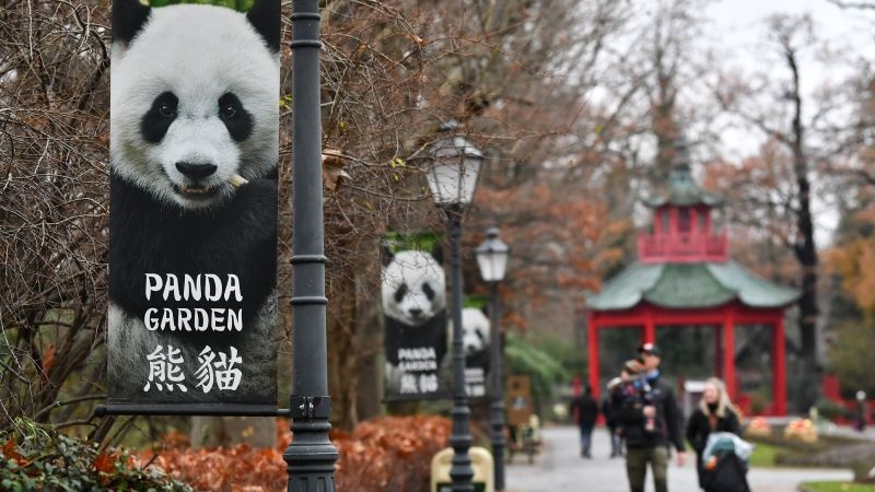 OneBillion Panda 1