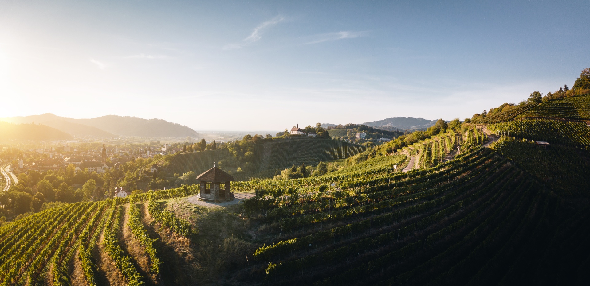 Aussichtspavilion im Weinberg Gengenbach © Chris Keller_Schwarzwald Tourismus