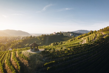 Beispiel Bild 800 x 450